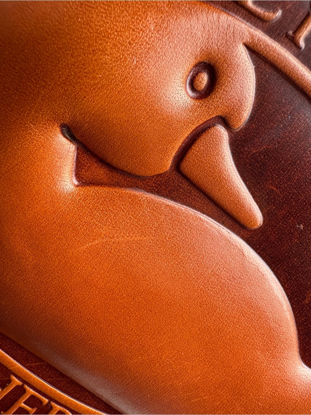 Dooney and Bourke Big Duck Oval Leather Wallet Duck on a strap mini bag - Picture 6 of 16